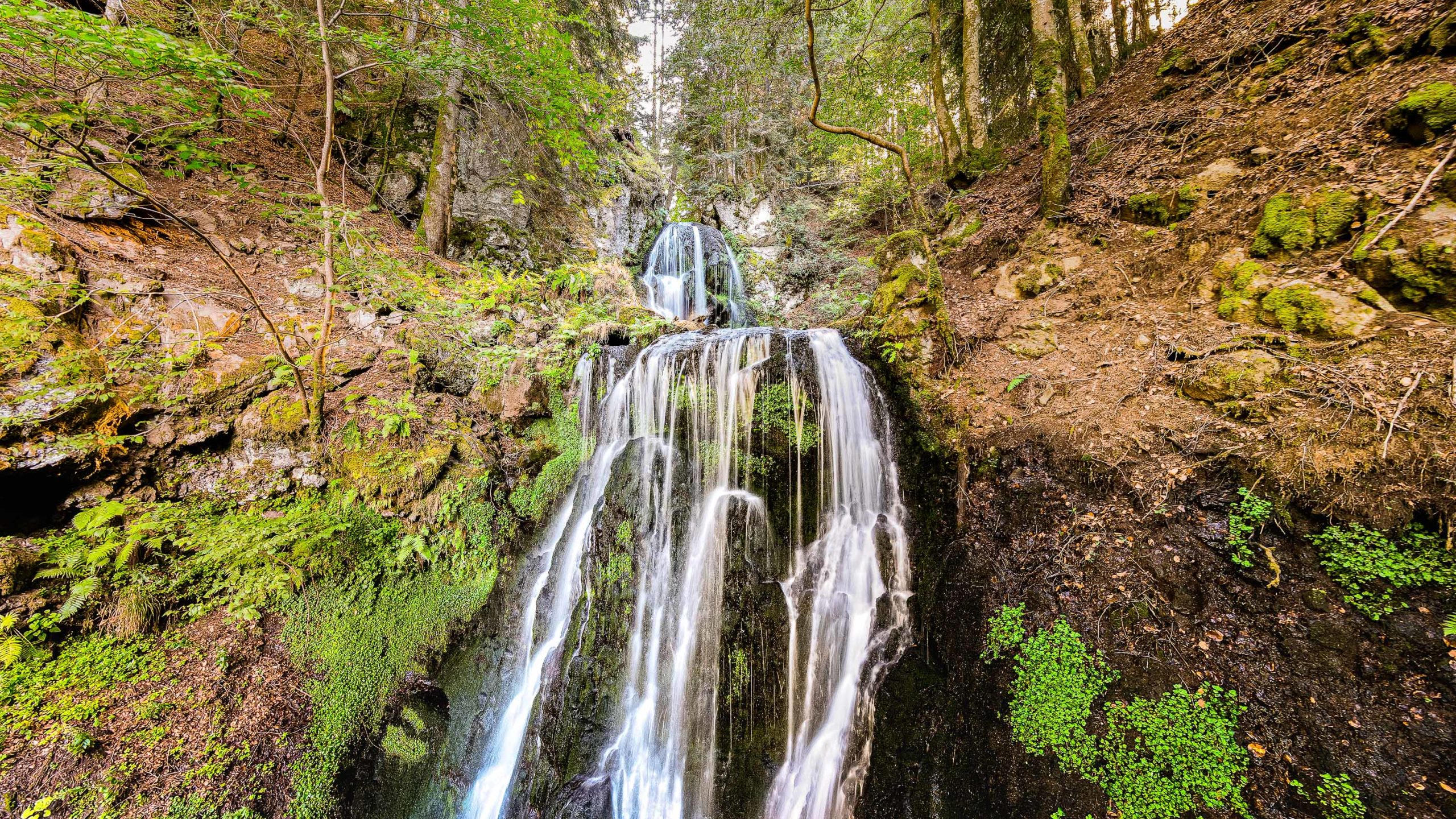 Promotion du territoire 11 bis LD