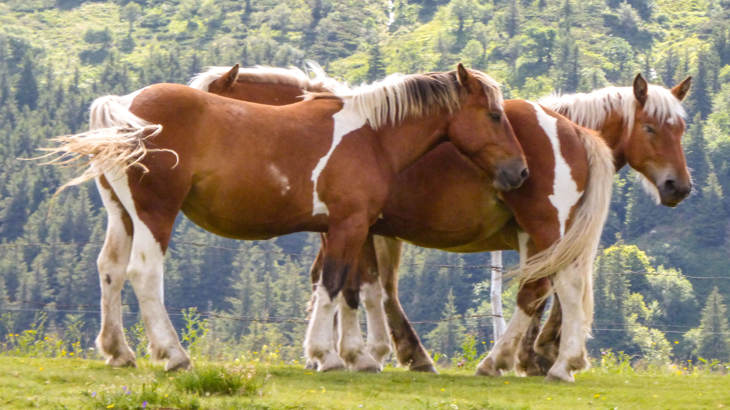 Promotion du territoire 7
